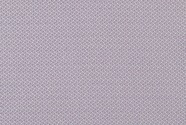 Chat Lilac