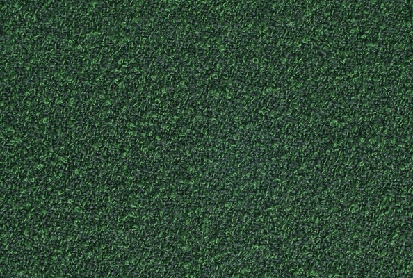 Poplar