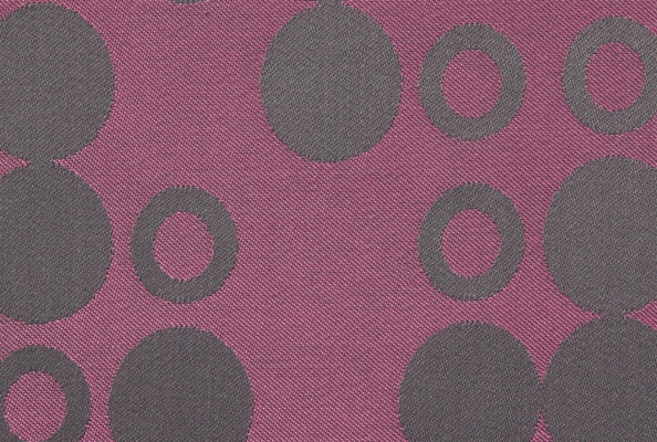 laine focus 009