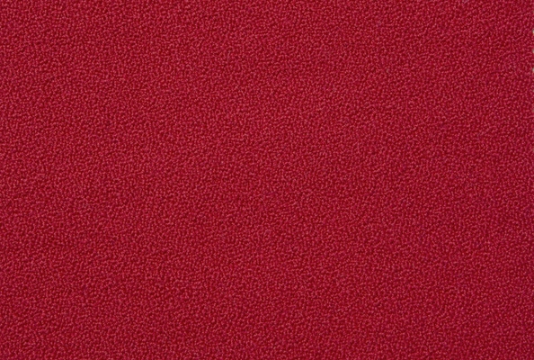 New Aquarius Cherry