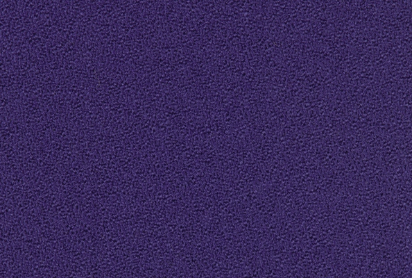 New Aquarius Purple