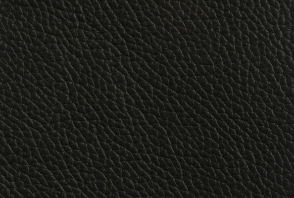 Project Black