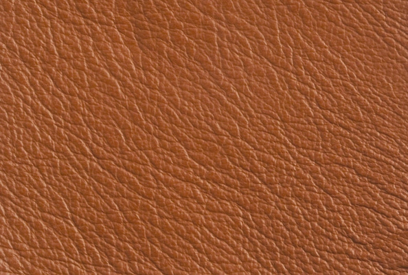 Project Orange
