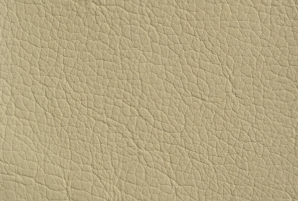 Project Taupe