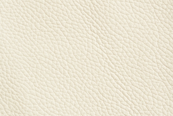 Project White
