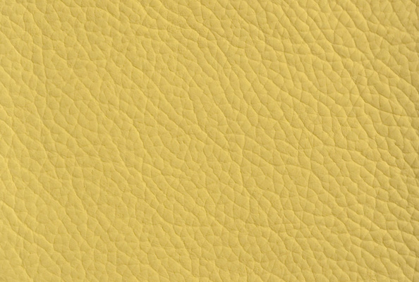 Project Yellow