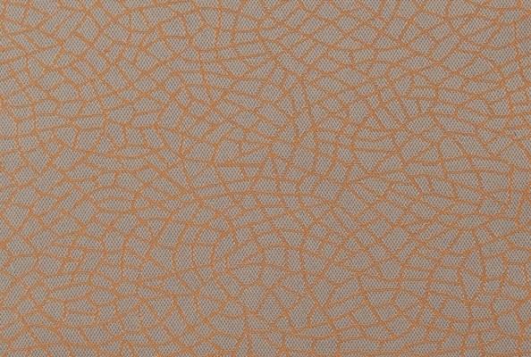 Scream Wildfire 021