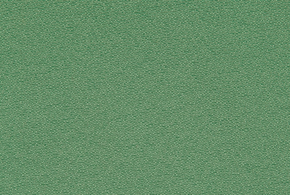 Suzette Celery