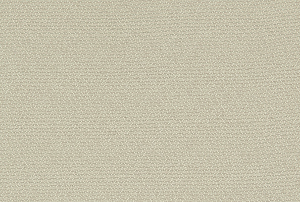 Suzette Neutral