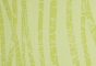 Birch Grass 007