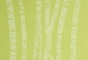 Birch Grass 008