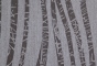 Birch Root 003