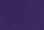 New Aquarius Purple