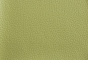 Nouveau Grasshopper